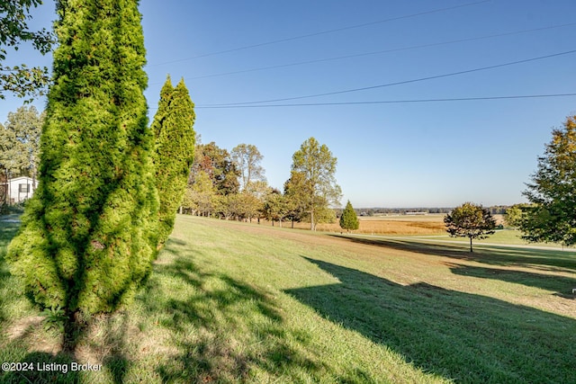 175 Boone White Rd, Leitchfield, KY 42754 - view of green lawn