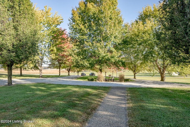 surrounding community featuring a yard