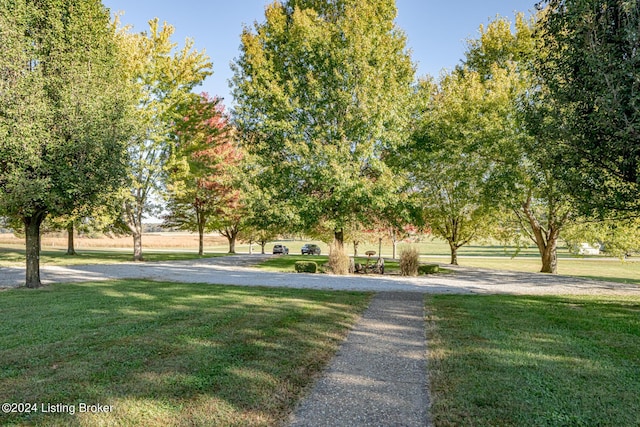 175 Boone White Rd, Leitchfield, KY 42754 - view of property's community with a yard