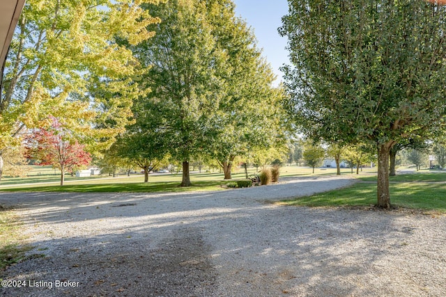 175 Boone White Rd, Leitchfield, KY 42754 - view of street