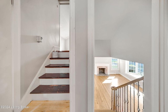 staircase featuring a premium fireplace and hardwood / wood-style floors