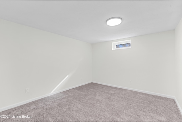 basement featuring carpet