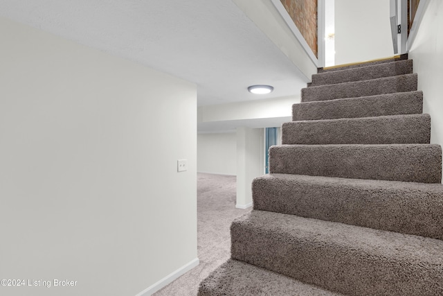 staircase with carpet floors