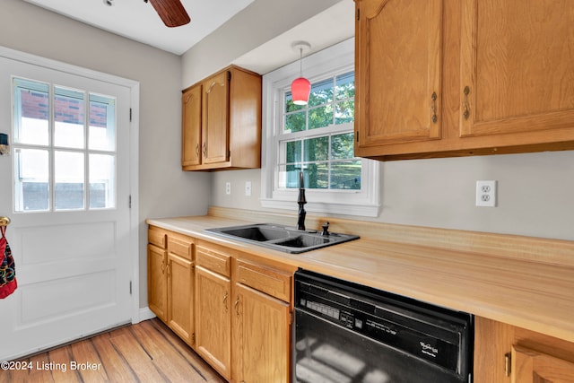 kitchen with black dishwasher, hanging light fixtures, ceiling fan, light hardwood / wood-style floors, and sink