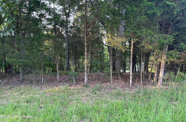 LOT539 Strawberry Hill Dr, Brandenburg KY, 40108 land for sale