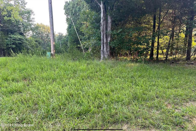 Listing photo 3 for LOT539 Strawberry Hill Dr, Brandenburg KY 40108