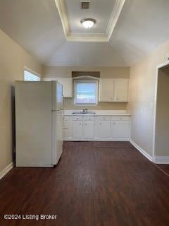 kitchen with white fridge, a raised ceiling, a wealth of natural light, and dark hardwood / wood-style flooring