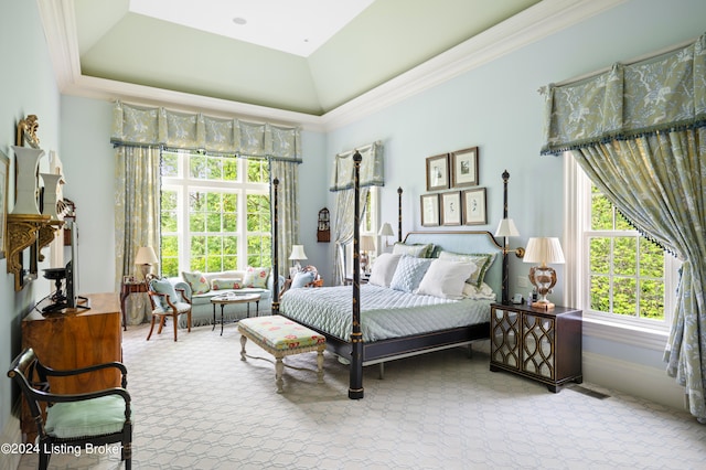 bedroom with ornamental molding, carpet flooring, and a raised ceiling