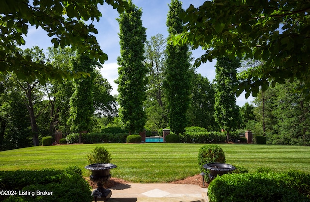 view of community with a lawn