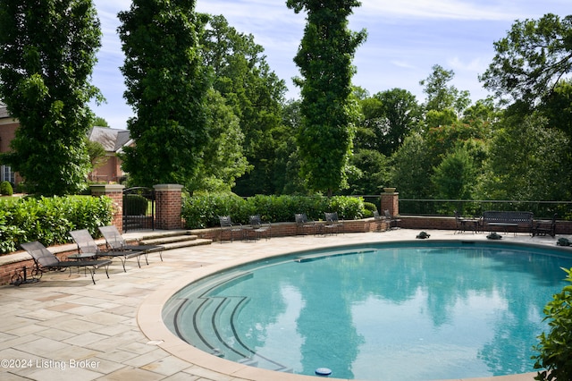 view of pool featuring a patio