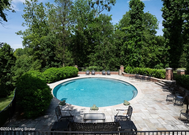 view of swimming pool with a patio