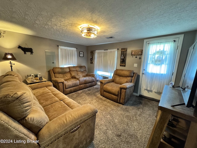 living room with carpet floors and a textured ceiling