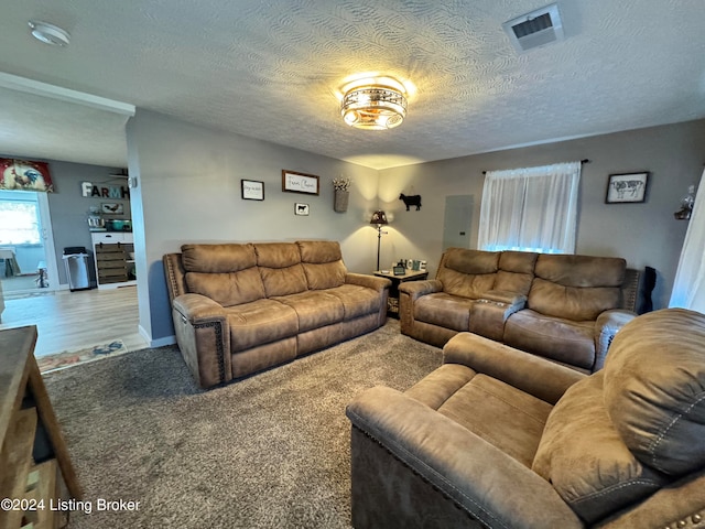 living room with carpet flooring and a textured ceiling