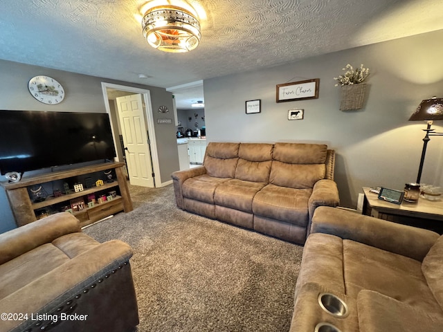 living room with a textured ceiling and carpet floors