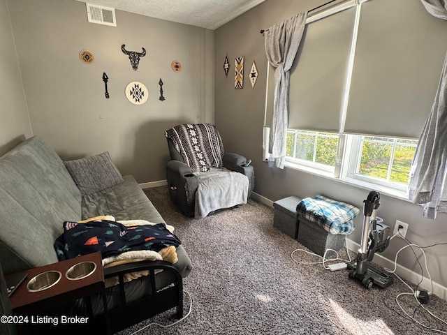 sitting room featuring carpet flooring and a textured ceiling