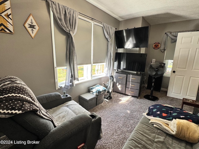 carpeted living room with a textured ceiling