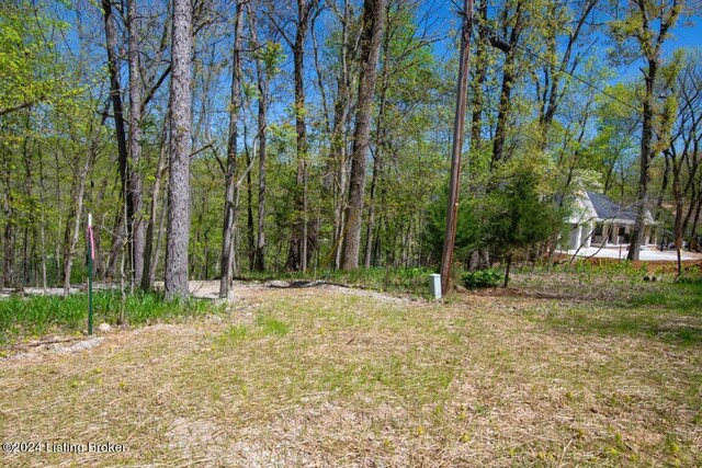 LOT446B Long Needle Rd, Brandenburg, KY 40108