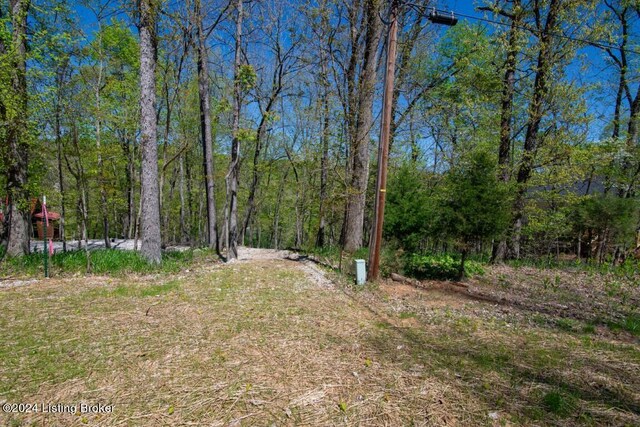 LOT446B Long Needle Rd, Brandenburg, KY 40108