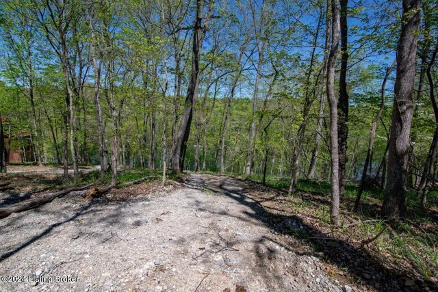 LOT446B Long Needle Rd, Brandenburg, KY 40108