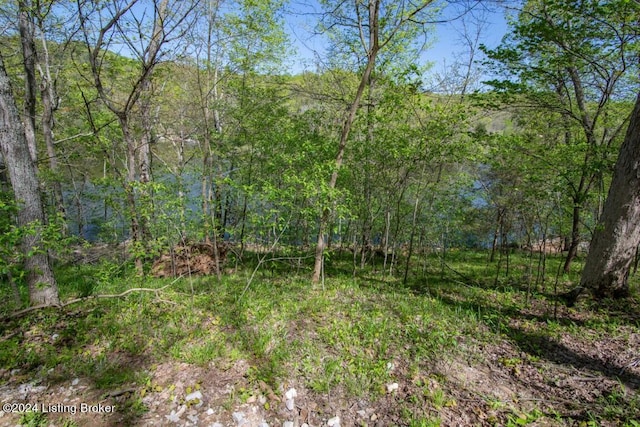 Listing photo 2 for LOT446B Long Needle Rd, Brandenburg KY 40108