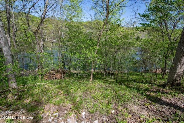 LOT446B Long Needle Rd, Brandenburg, KY 40108