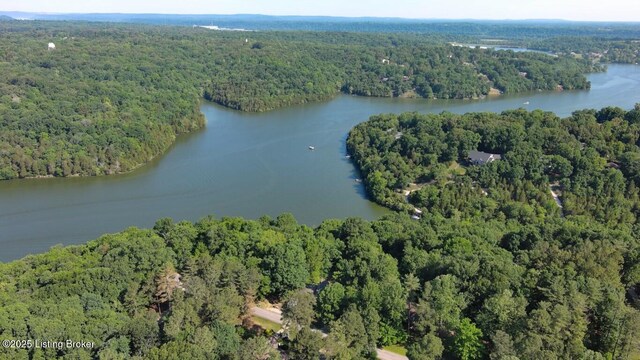 LOT446B Long Needle Rd, Brandenburg, KY 40108 - photo 16