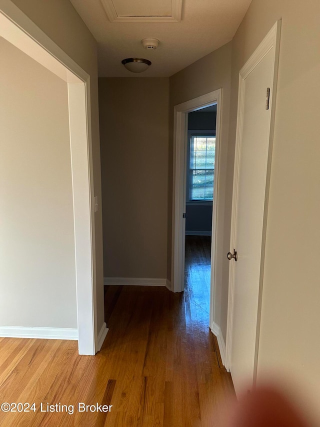 corridor with wood-type flooring