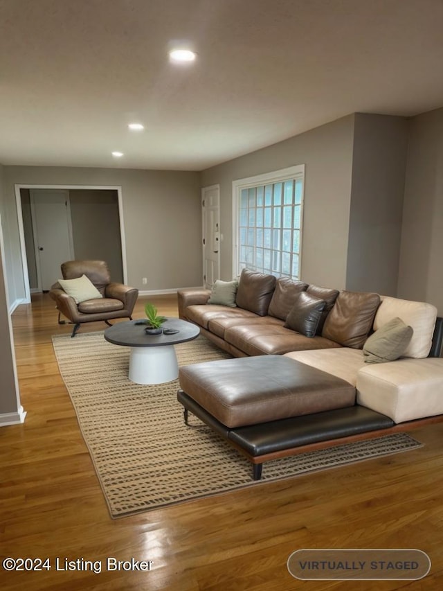 living room with light wood-type flooring