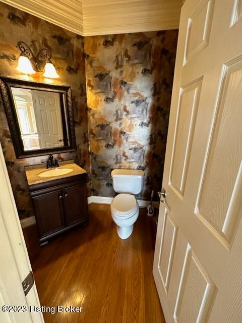 bathroom featuring toilet, vanity, and wood-type flooring