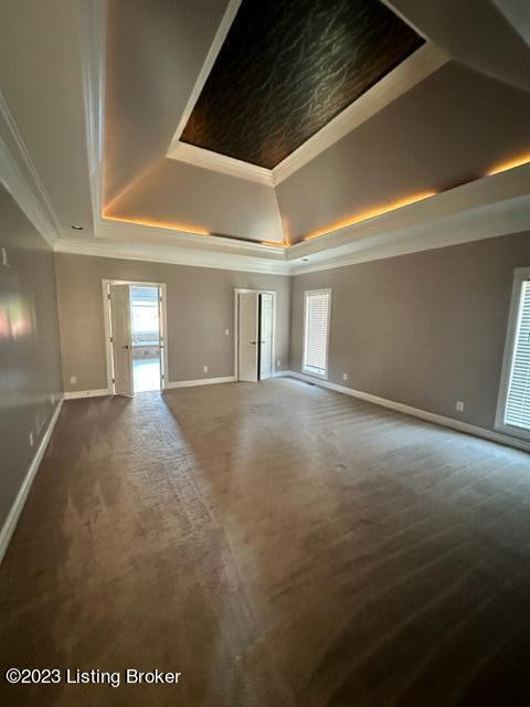 unfurnished room featuring ornamental molding, carpet flooring, and a tray ceiling