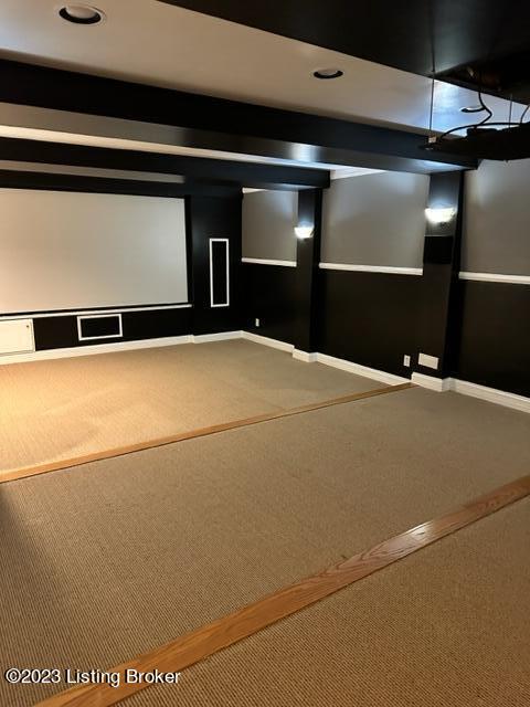 view of carpeted home theater