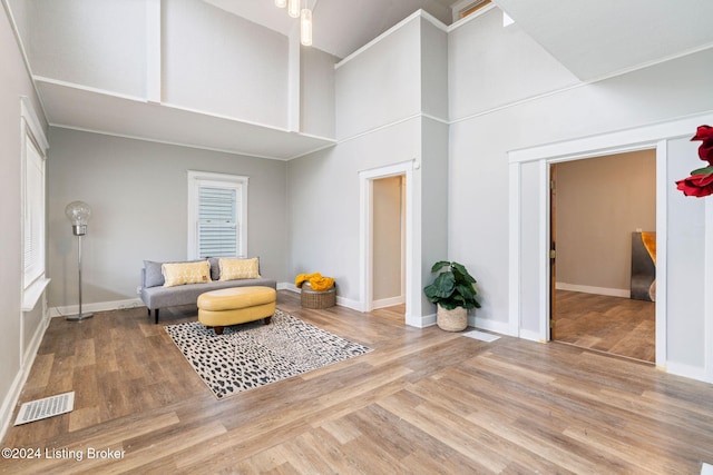 sitting room featuring wood-type flooring and a high ceiling