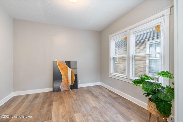 empty room with a textured ceiling and light hardwood / wood-style flooring