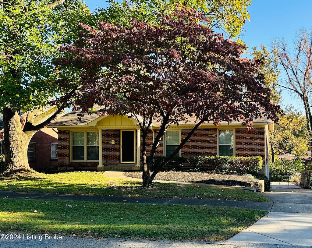 ranch-style house featuring a front yard