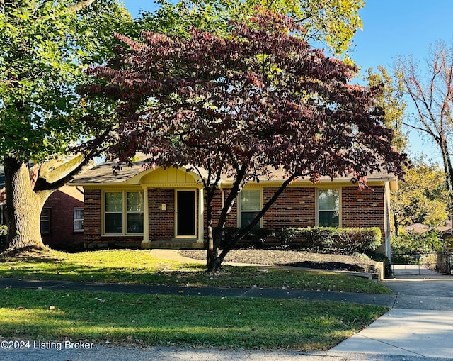 ranch-style house featuring a front yard