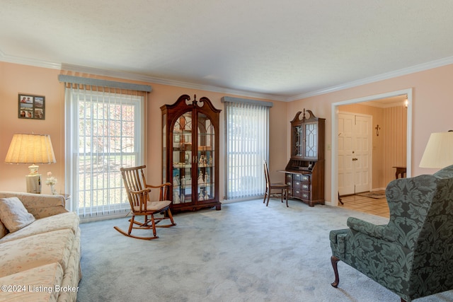 carpeted living room with ornamental molding and a textured ceiling