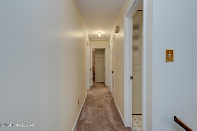 corridor with light colored carpet