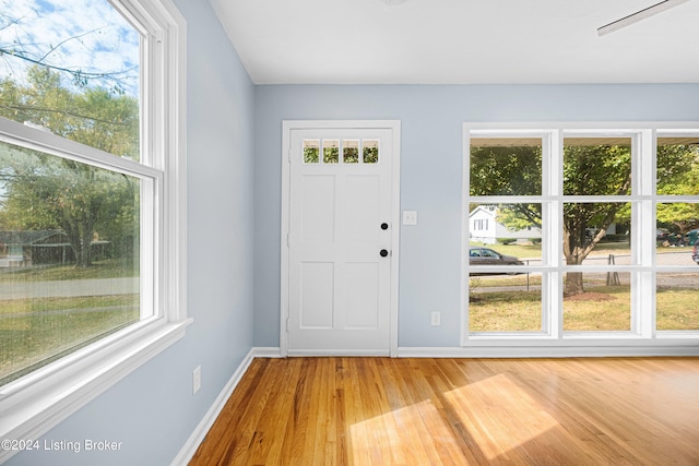 entryway featuring a healthy amount of sunlight and light hardwood / wood-style floors