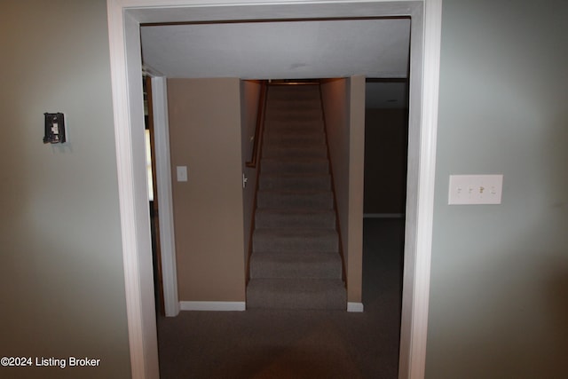 staircase featuring carpet