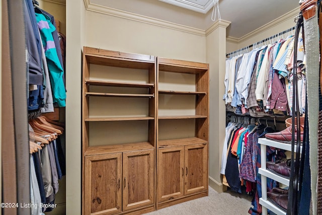 walk in closet with light colored carpet