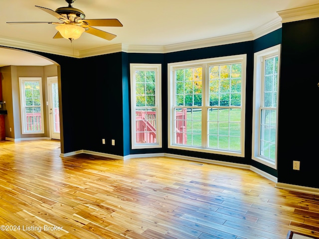 unfurnished room featuring a wealth of natural light and light hardwood / wood-style floors