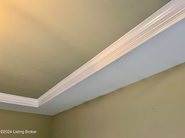 interior details with crown molding and a raised ceiling