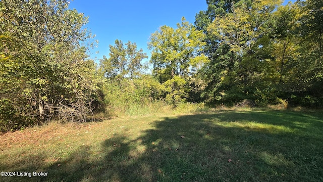 view of local wilderness