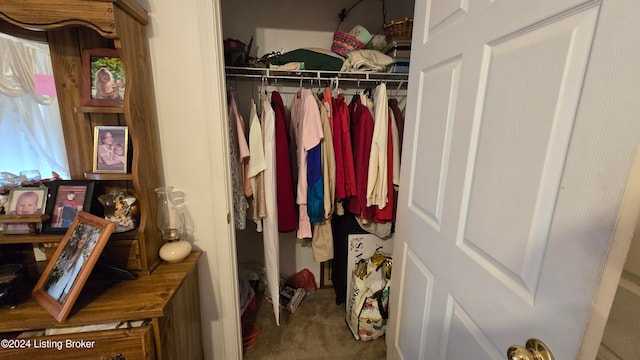 view of closet