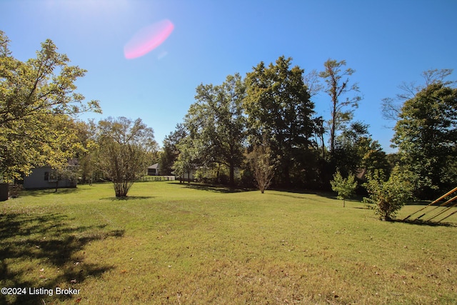 view of yard