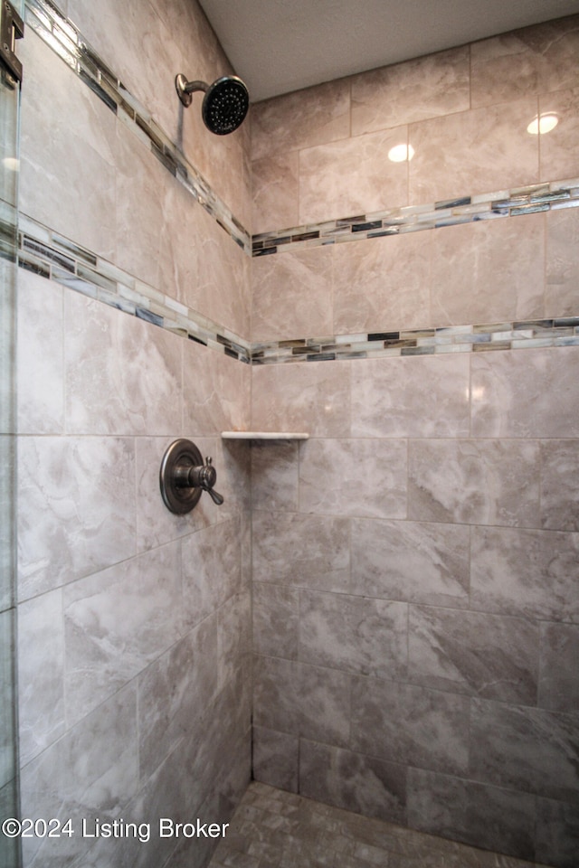 interior details with tiled shower