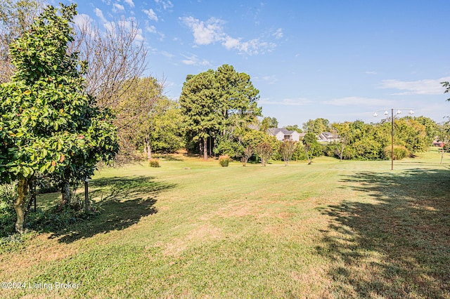 view of yard