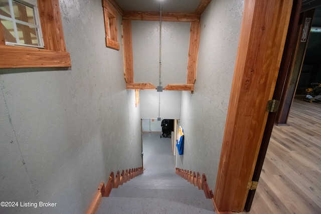 stairs with wood-type flooring