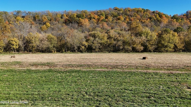 0 Mill Creek Rd, Carrollton, KY 41008