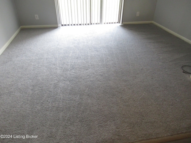 spare room with carpet